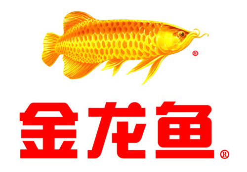 金龍魚(yú)